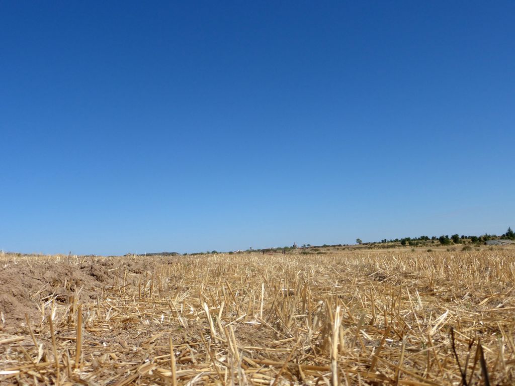 Terreno agricola